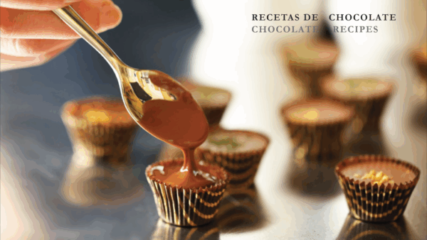 GUIA ESENCIAL DEL CHOCOLATE - Imagen 5